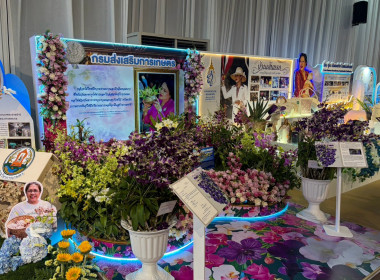 สมเด็จพระกนิษฐาธิราชเจ้าฯ เสด็จฯ ทรงเปิดงานเทิดพระเกียรติฯ ... พารามิเตอร์รูปภาพ 32
